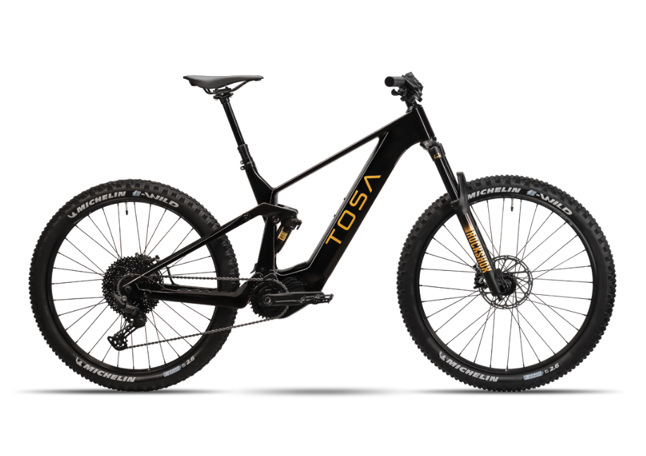 Carbon e bike