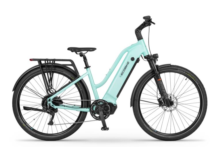 ECOBIKE LX500