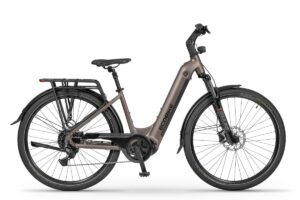 ECOBIKE LX300