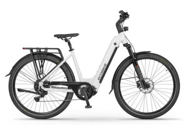 ECOBIKE LX300