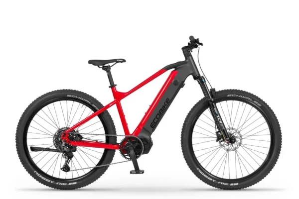 ECOBIKE RX500