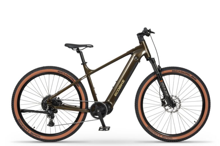 Ecobike SX300