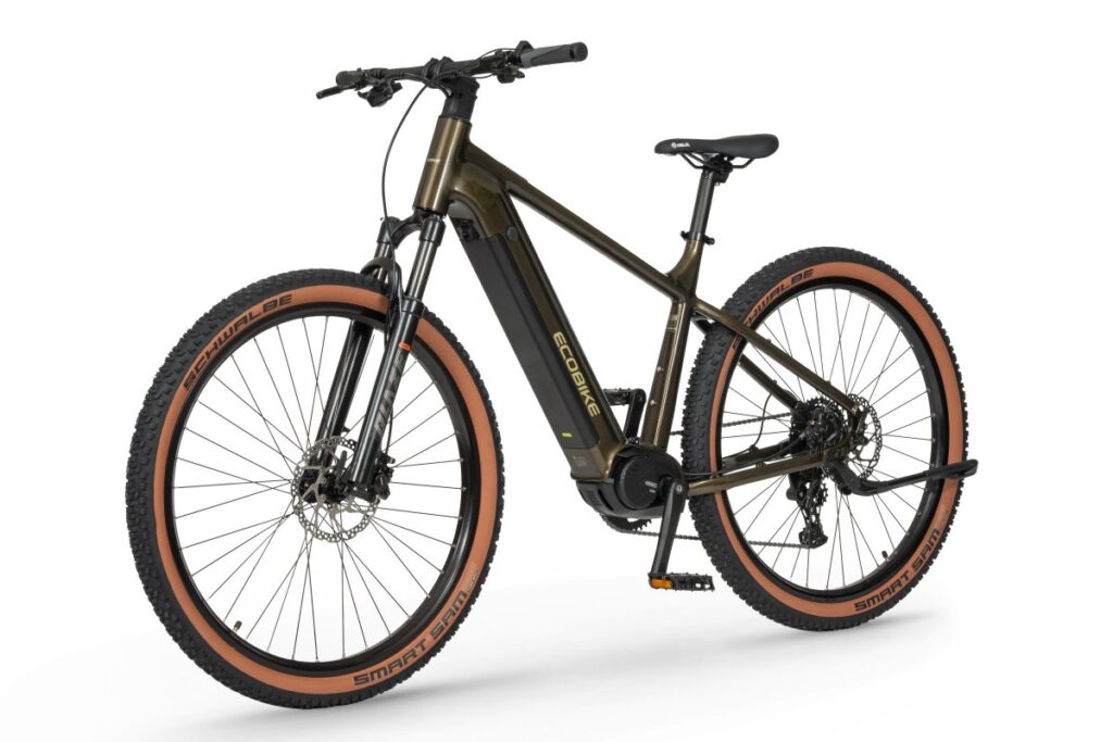 Ecobike SX300 · Ansicht Motor