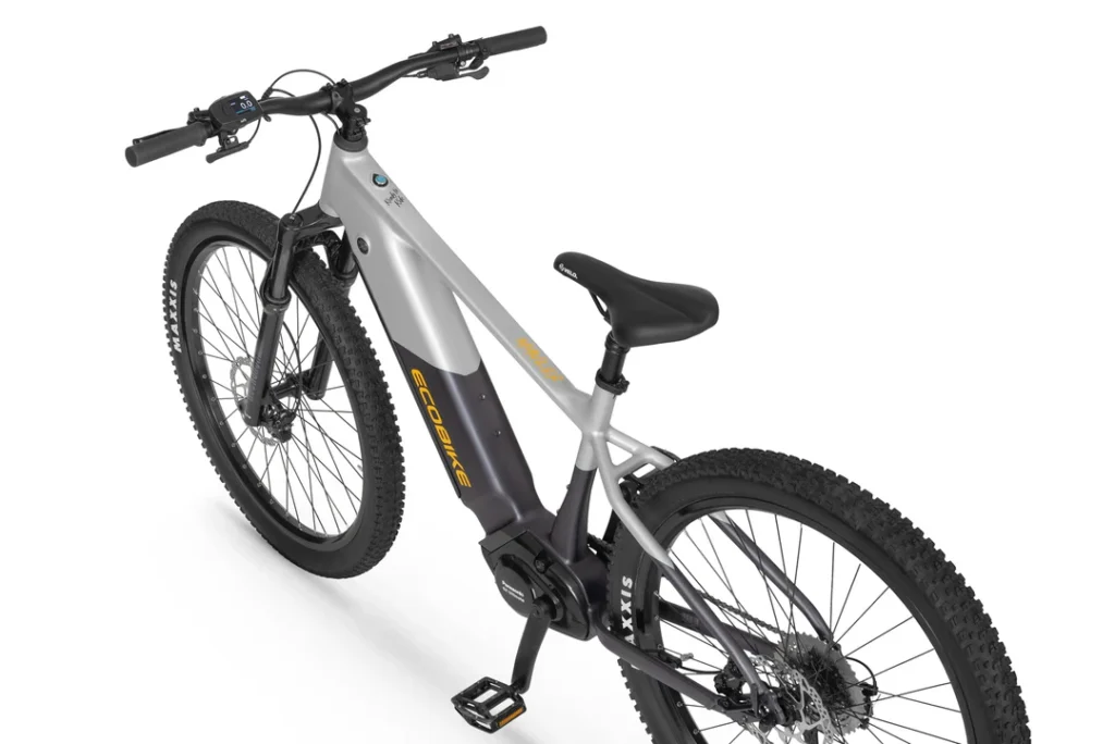 ECOBIKE MAULER · Ansicht Motor